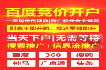 谷歌竞价广告的投放策略与成功案例分析