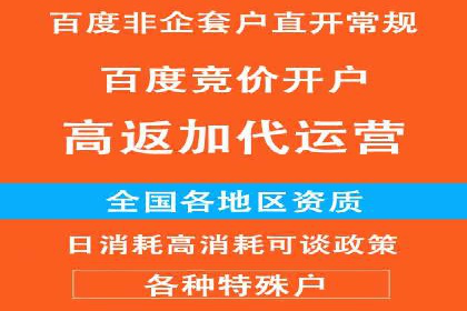 SEM推广实战：案例解析与策略探讨